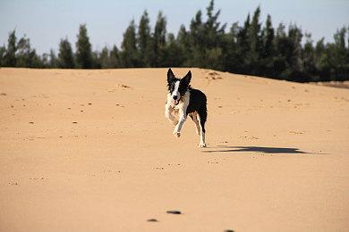 《赛博朋克2077》PC热修复上线 可能会影响Mod使用